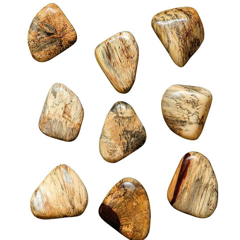 Pebbles Wood Wall Decor, Set of 9 - Blond